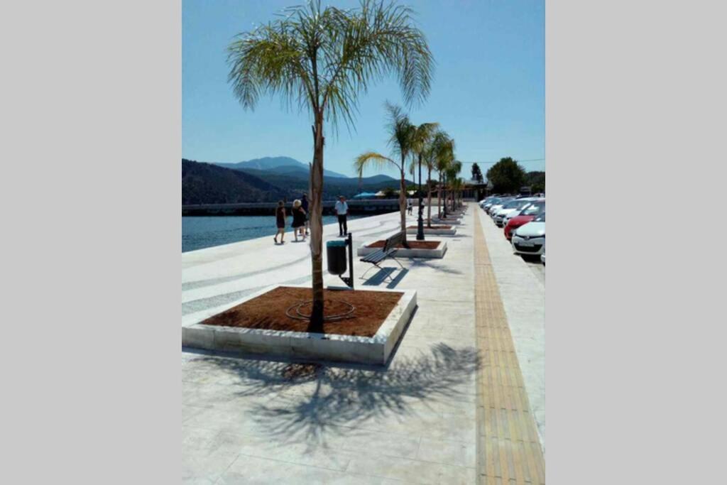 Iris'S Apartment Central With Parking Argostoli  Exterior foto